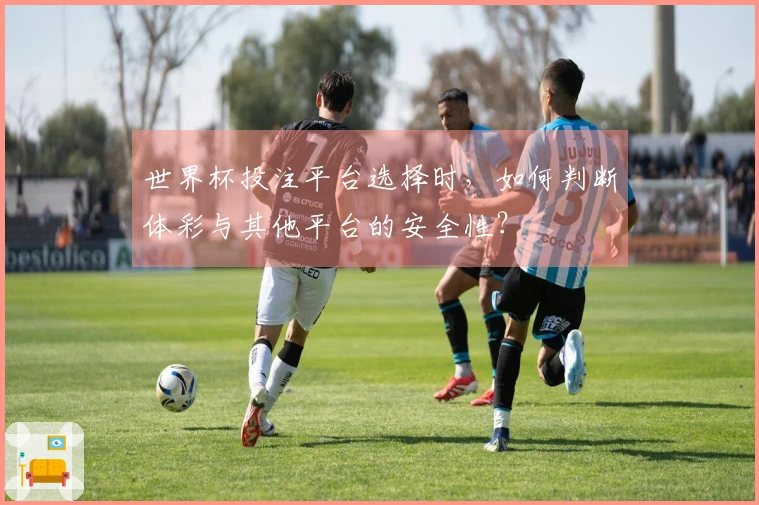 世界杯投注平台选择时，如何判断体彩与其他平台的安全性？