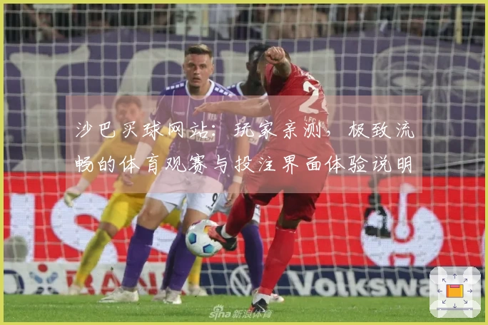 沙巴买球网站：玩家亲测，极致流畅的体育观赛与投注界面体验说明