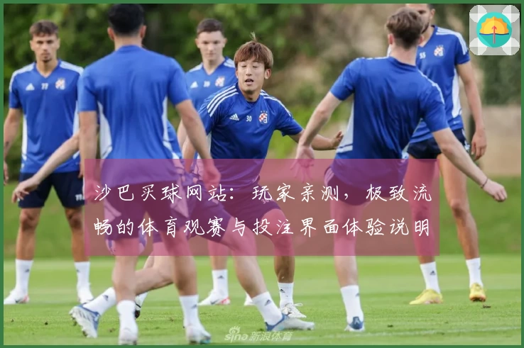 沙巴买球网站：玩家亲测，极致流畅的体育观赛与投注界面体验说明