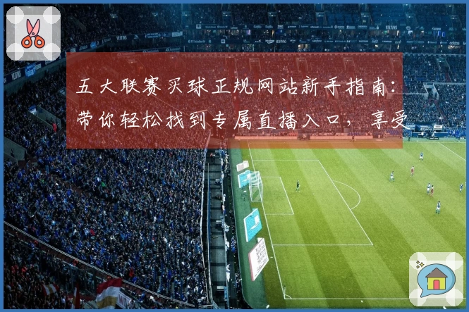 五大联赛买球正规网站新手指南：带你轻松找到专属直播入口，享受流畅观赛体验