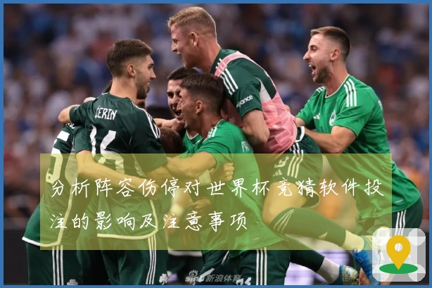 分析阵容伤停对世界杯竞猜软件投注的影响及注意事项