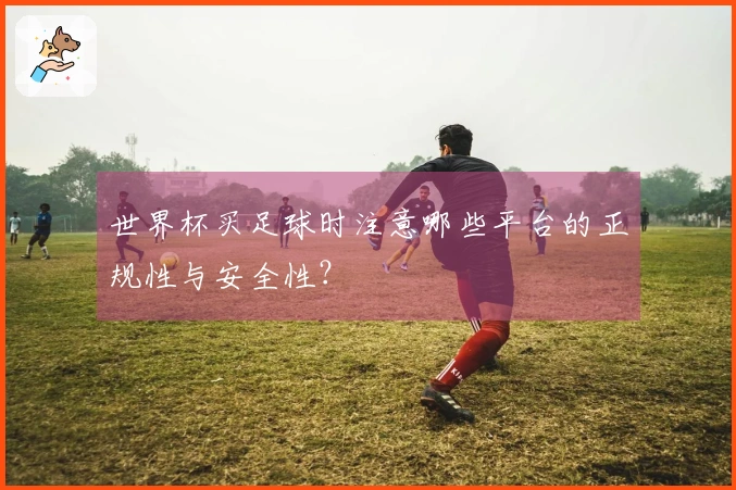 世界杯买足球时注意哪些平台的正规性与安全性？