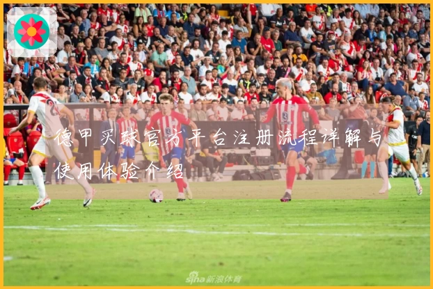 德甲买球官方平台注册流程详解与使用体验介绍