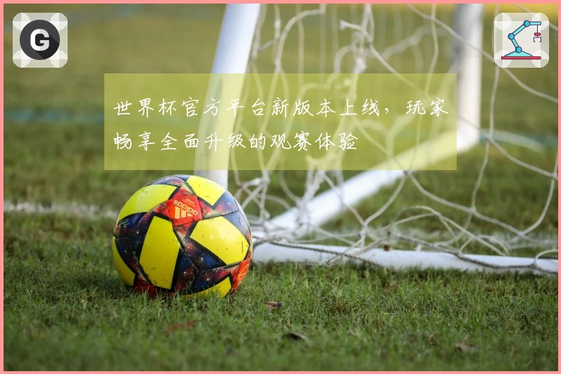 世界杯官方平台新版本上线，玩家畅享全面升级的观赛体验