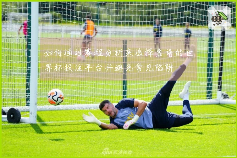 如何通过赛程分析来选择靠谱的世界杯投注平台并避免常见陷阱
